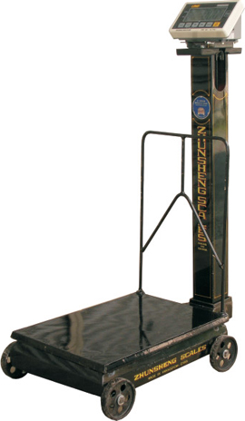 1708 Series, Conversion Platform Scale