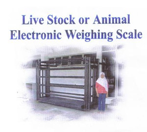 Animal Weigher, Snowrex, Cow Weigher