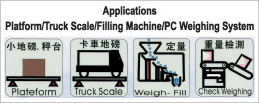 Parallel BCD Output, Analog Output (4-20mA), Analog Output (0-10V)